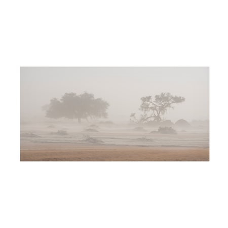 Roberto Marchegiani 'Desert Storm' Canvas Art, 10x19